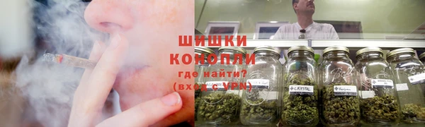 сатива Приозерск