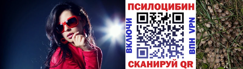 Галлюциногенные грибы Psilocybe  Купить где  Сосновоборск 